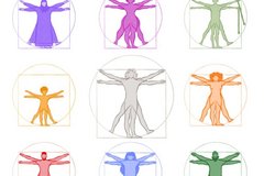Illustration: Continuities through norms (Vitruvian man)